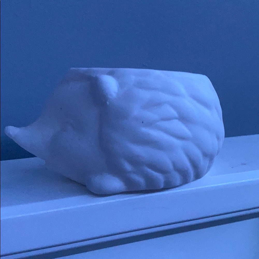 Mini Hedgehog Planter - Picture 3 of 6